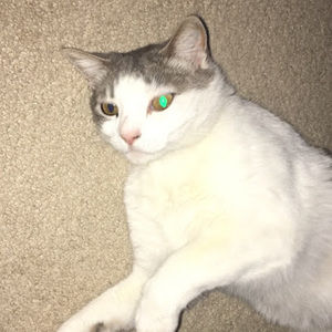 Meet your Posher, Andrew